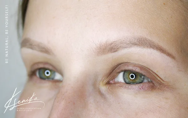 healed result after 1 session of pmu; powder tehnique